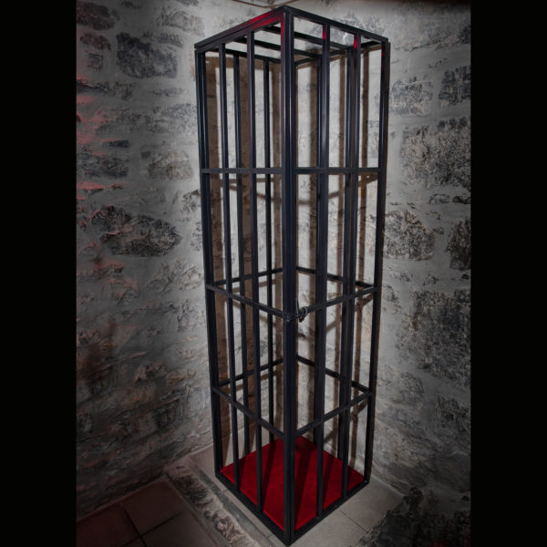 cage-debout-ds-gear
